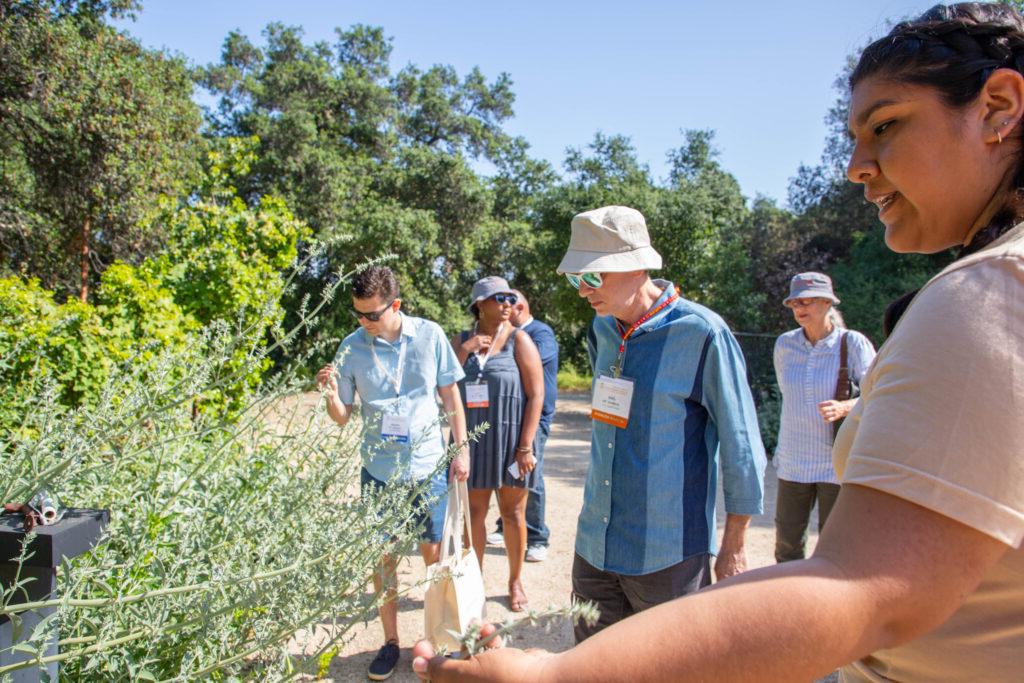 Alumni smell sage plants at the Rbert Redford Conservancy.